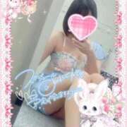 ヒメ日記 2025/11/22 15:04 投稿 のん 桃李（とうり）