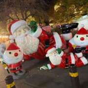 ヒメ日記 2025/12/07 06:45 投稿 のん 桃李（とうり）