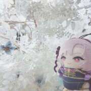 のん 空き枠✨ 桃李（とうり）