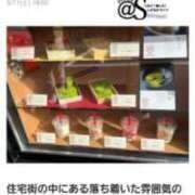 ヒメ日記 2024/05/14 14:48 投稿 ここな 静岡♂風俗の神様 静岡店