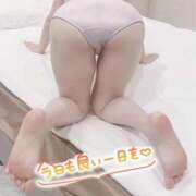 ヒメ日記 2025/02/18 09:13 投稿 ましろ 妻天 京橋店