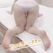 ヒメ日記 2025/03/11 09:13 投稿 ましろ 妻天 京橋店