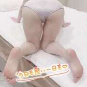 ましろ 2月 妻天 京橋店