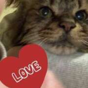 ヒメ日記 2025/08/15 17:57 投稿 めい 人妻小旅行