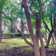 めい ❤︎夏と秋の狭間で❤︎ 人妻小旅行