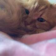 めい ⁰̴̷̷ ˙̮ ⁰̴̷̷ಣかふんしょう？？ 人妻小旅行