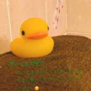 蒼井まき お久しぶり🫶 エマーブル