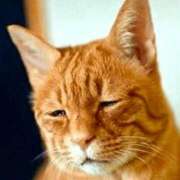 ヒメ日記 2025/07/01 17:34 投稿 公美 東京人妻フォーシーズンズ