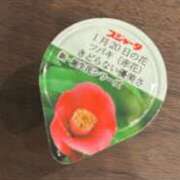 ヒメ日記 2025/02/20 23:21 投稿 ジョン 電マナイザー イラマチオン