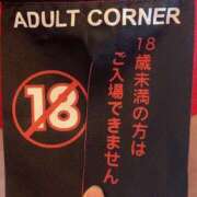 ヒメ日記 2025/04/10 04:45 投稿 サラン 性の極み 技の伝道師 ver. 匠