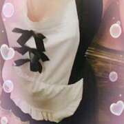 ヒメ日記 2025/03/31 10:06 投稿 ハマル GooGoo ～グーグー～