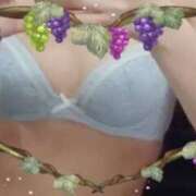 ヒメ日記 2026/01/27 22:36 投稿 ハマル GooGoo ～グーグー～