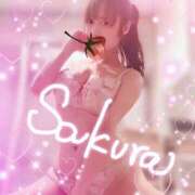 ヒメ日記 2024/12/20 08:15 投稿 佐倉 ANECOTE