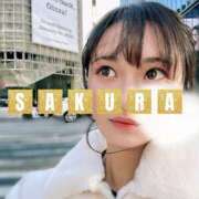 ヒメ日記 2025/02/01 15:15 投稿 佐倉 ANECOTE