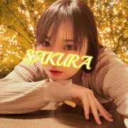 ヒメ日記 2025/02/17 12:16 投稿 佐倉 ANECOTE