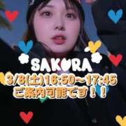 ヒメ日記 2025/03/06 12:56 投稿 佐倉 ANECOTE