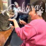 ヒメ日記 2025/03/20 15:48 投稿 佐倉 ANECOTE