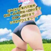 ヒメ日記 2025/05/12 18:15 投稿 佐倉 ANECOTE