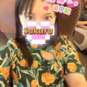 ヒメ日記 2025/07/24 18:24 投稿 佐倉 ANECOTE