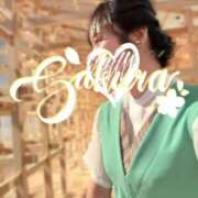 ヒメ日記 2025/10/20 20:15 投稿 佐倉 ANECOTE