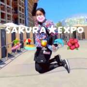 佐倉 佐倉★アフター万博 ANECOTE