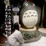 ヒメ日記 2026/03/17 08:15 投稿 佐倉 ANECOTE