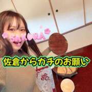 佐倉 佐倉★初めまして様にガチのお願い ANECOTE