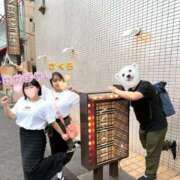 ヒメ日記 2026/05/11 12:15 投稿 佐倉 ANECOTE