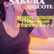 ヒメ日記 2026/05/17 12:32 投稿 佐倉 ANECOTE