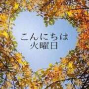 ヒメ日記 2023/11/08 12:18 投稿 富岡【とみおか】 丸妻 西船橋店