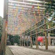 ヒメ日記 2025/07/23 11:48 投稿 真白 鶯谷人妻城