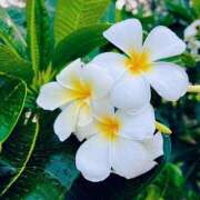 ヒメ日記 2025/01/21 09:06 投稿 るな 成田人妻花壇