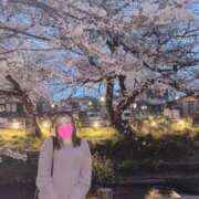 ヒメ日記 2025/03/25 08:08 投稿 るな 成田人妻花壇