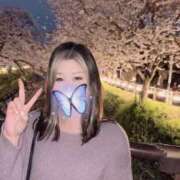 ヒメ日記 2025/03/31 12:37 投稿 るな 成田人妻花壇