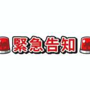 ヒメ日記 2026/05/06 16:50 投稿 あすか 大阪人妻援護会