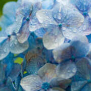 ヒメ日記 2025/06/10 10:02 投稿 あすか 阪神人妻花壇