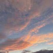 ヒメ日記 2025/05/27 10:32 投稿 あすか 神戸人妻花壇