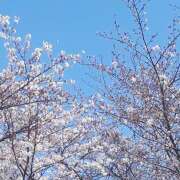 芹沢由宇子 おはようございます(>ω<) 五十路マダムエクスプレス船橋店(カサブランカグループ)