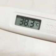 たお☆ ごめんなさい 豊橋豊川ちゃんこ