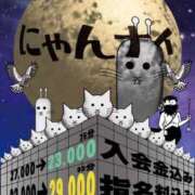 ヒメ日記 2025/03/30 01:45 投稿 こはる にゃんだ☆full☆MIX（にゃんだふるみっくす）