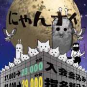 ヒメ日記 2025/04/05 04:00 投稿 こはる にゃんだ☆full☆MIX（にゃんだふるみっくす）
