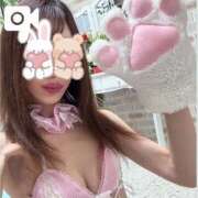 ヒメ日記 2025/05/26 23:10 投稿 こはる にゃんだ☆full☆MIX（にゃんだふるみっくす）