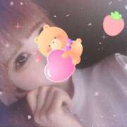 ヒメ日記 2025/04/02 08:06 投稿 望月　陽菜 プルプル京都性感エステ　はんなり