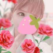 ヒメ日記 2025/04/08 17:07 投稿 望月　陽菜 プルプル京都性感エステ　はんなり