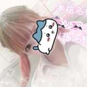 ヒメ日記 2025/06/10 00:29 投稿 望月　陽菜 プルプル京都性感エステ　はんなり