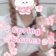 ヒメ日記 2026/03/16 09:13 投稿 望月　陽菜 プルプル京都性感エステ　はんなり