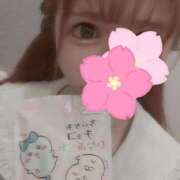 ヒメ日記 2026/04/09 13:36 投稿 望月　陽菜 プルプル京都性感エステ　はんなり