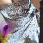 ヒメ日記 2025/03/14 14:33 投稿 あけみ 即トク奥さん