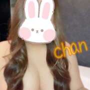 ヒメ日記 2024/12/10 15:30 投稿 ちゃん 蒼いうさぎ