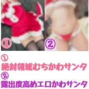 ヒメ日記 2024/12/19 20:01 投稿 ちゃん 蒼いうさぎ